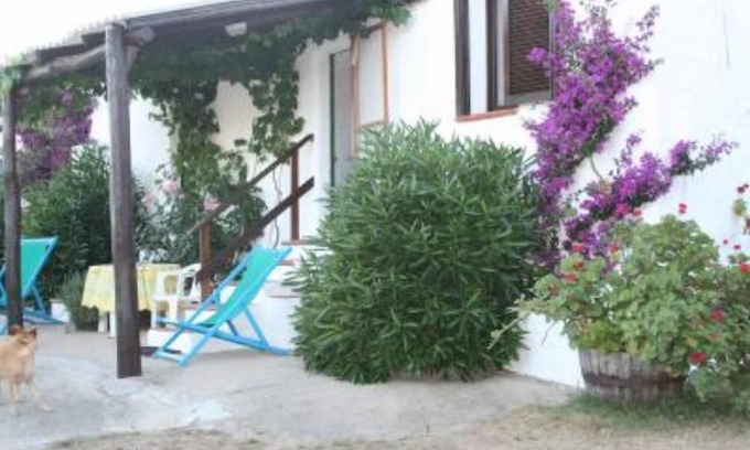Santa Teresa di Gallura House | Typical house in Santa Teresa di Gallura