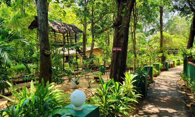 Udawalawa Resort | Udawalawe Safari VIllage By Plateeno