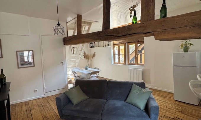 Old Town Apartment | Unique apartment in the historic heart of Troyes - Ruelle des chats/rue Champeaux