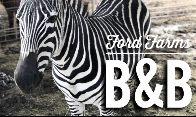 Lindsay House | Unique Farm stay at a Petting Zoo