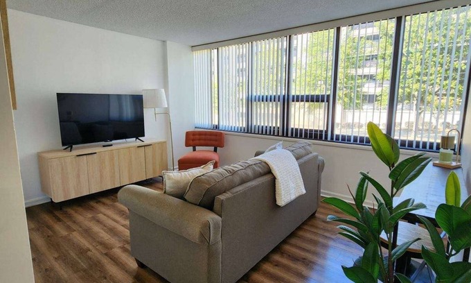 Columbia Condo | University of SC - Williams- Bryce Stadium - Downtown Cola