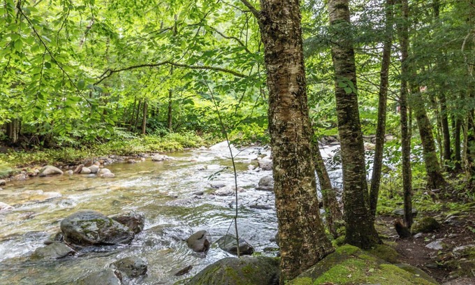 Stowe Area House | Upscale Vermont Condo off of Mountain Rd