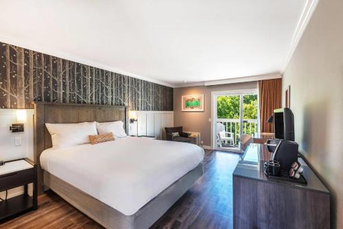 Calistoga Hotel | UpValley Inn & Hot Springs, an Ascend Collection Hotel