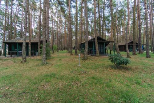 Luetow Other | Urlaub im Bungalow mitten im Wald