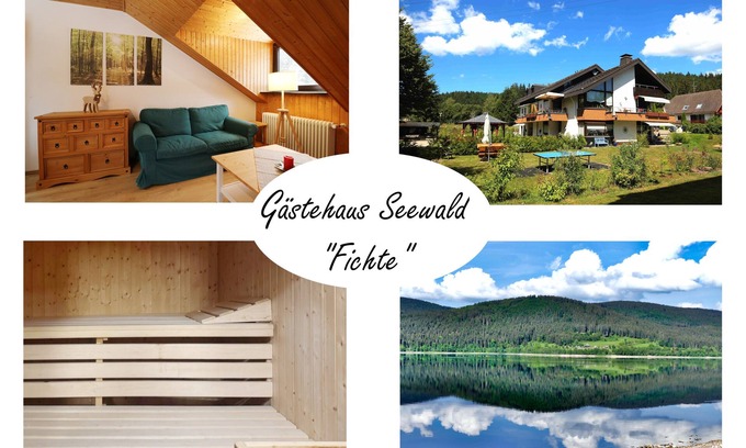 Blasiwald Apartment | Vacation apartment/apartment for 2 guests with 35m² in Schluchsee (268615)