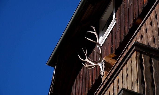 Rinken Apartment | Vacation apartment Biber, 38sqm, 1 living/bedroom, max. 2 persons
