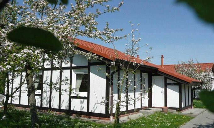 Hollern House | Vacation home 313 Kogge 60sqm up to 4 persons without pets - Ferienhaus Kogge im