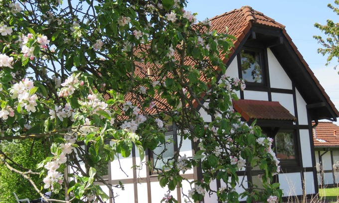 Hollern House | Vacation home 171 Deichgraf 65sqm up to 6 persons with pet - Ferienhaus Deichgraf