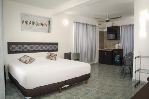 Colonia Adolfo Lopez Mateos Apartment | Vacation Rental - Studio at Casa Cocoa