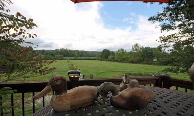 Pisgah Forest House | Vaquero on French Broad River valley near Brevard, one level, Dogs OK, free Biltmore Pass