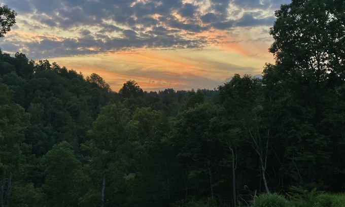 Marshall Cabin | Very Private 4 Bedroom 3 Bath Cabin on 24 acres