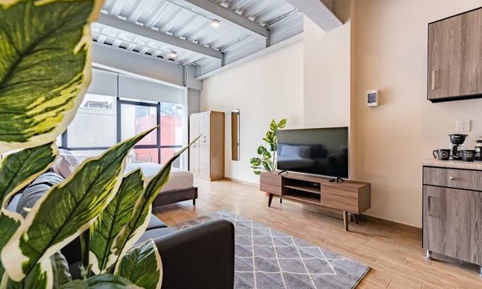 Zona Rosa Apartment | VH | Comfy Loft | washer + wifi | Roma Nte | 306