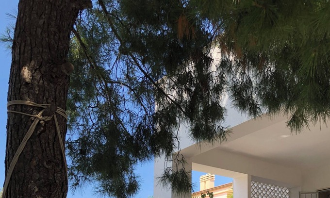 Torricella Villa | Villa Enza - 150 steps from the sea