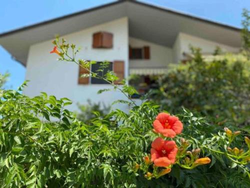 Mondolfo Apartment | Via Verdi 14