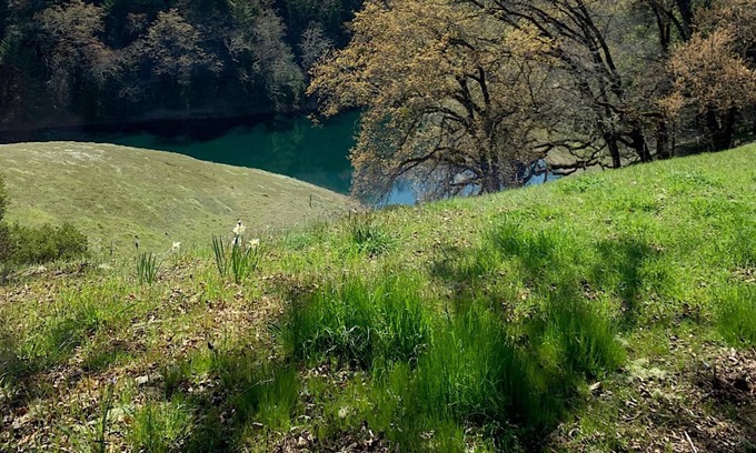 Ukiah House | VIEWS!! Last Minute/Longer Stay SPECIALS!