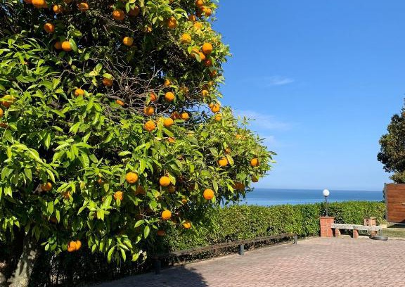 Fermo Apartment | Vigna Sul Mare