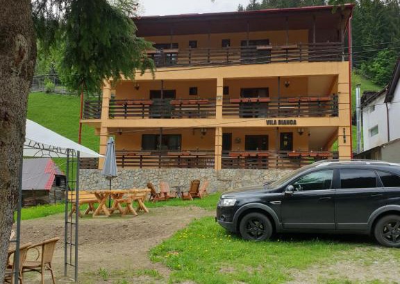 Moeciu de Sus House | Vila Bianca Dragusin