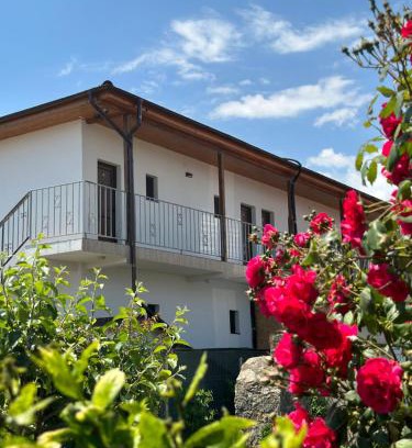 Vama Veche House | Vila Bloom