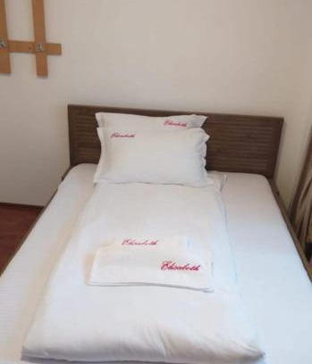 Lupeni Bed & Breakfast | Vila Elisabeth