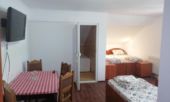 Piatra Neamt House | vila elly