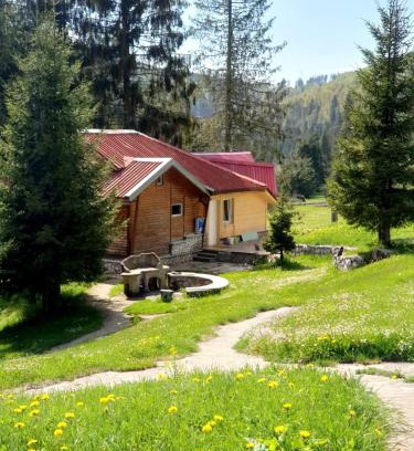 Budureasa Cabin | Vila IZVORUL MINUNILOR