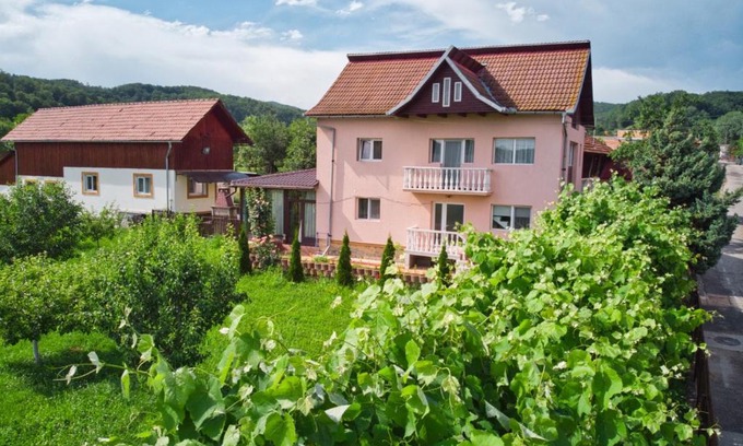 Cicanesti House | Vila Teo
