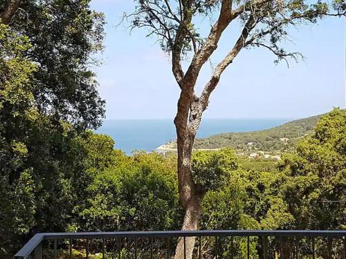 Procchio Apartment | Villa ai Pini - ArgonautiVacanze