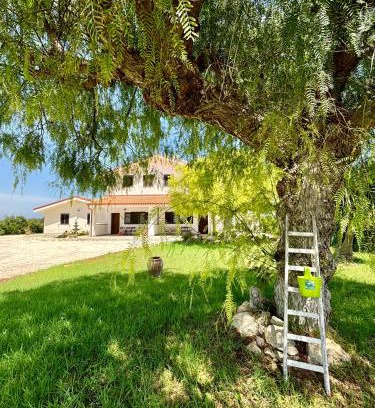 Noto Apartment | Villa Andrea San Lorenzo