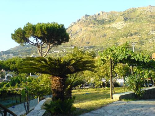 Panza Villa | Villa Angelo