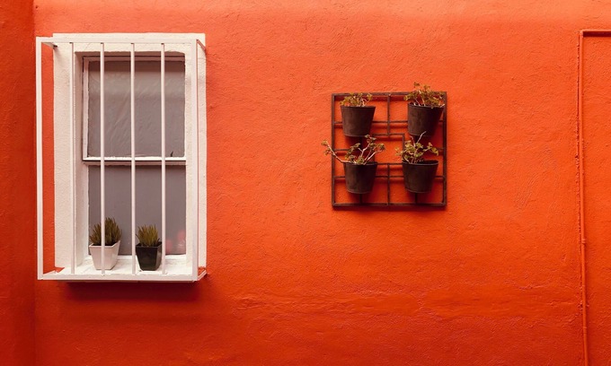 Coyoacan House | Villa Colonial Centro de Coyoacan Casa Para 12 Personas Ambiente Familiar