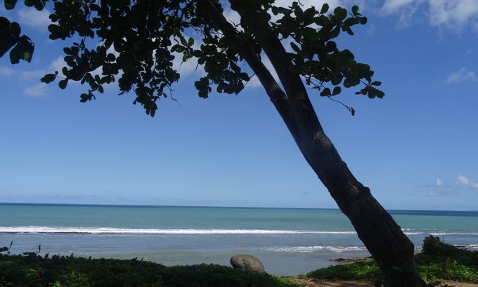 Sainte-Rose House | Villa Courbet - Sea View & Private Pool