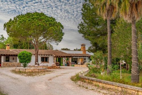 Son Antem Villa | VILLA DEL ARTISTA SUPER LUJO