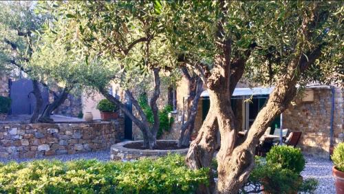 Poggi Villa | Villa della Pietra