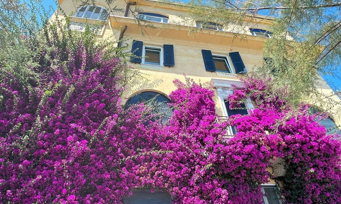 Cinque Terre Apartment | Villa Ferrer Best view of the sea and the 5terre