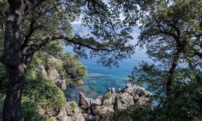 Arzeno Villa | Villa in Portofino with 6 bedrooms sleeps 10