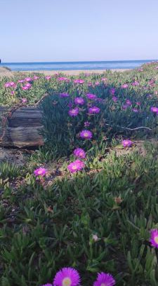 Pineto House | Villa les pieds dans l'eau