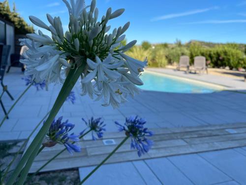 Chateauneuf-les-Martigues Villa | Villa luxe Chato9 piscine chauffee