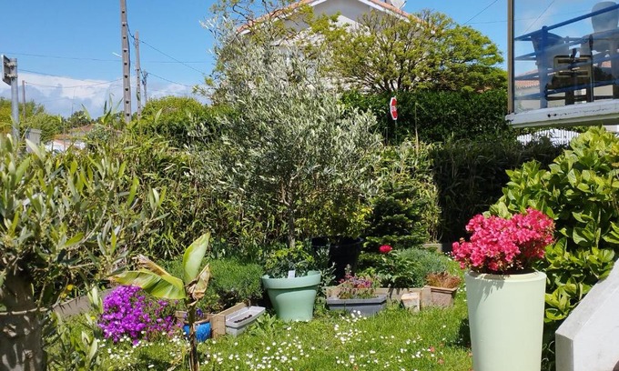 Saint-Georges-de-Didonne Bed & Breakfast | Villa Saint-Germain