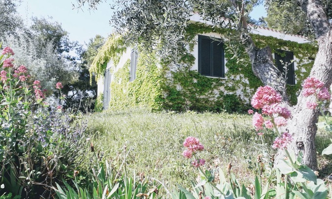 Vieste House | VILLA SERENA WITH LARGE GARDEN FOR 6 PEOPLE.