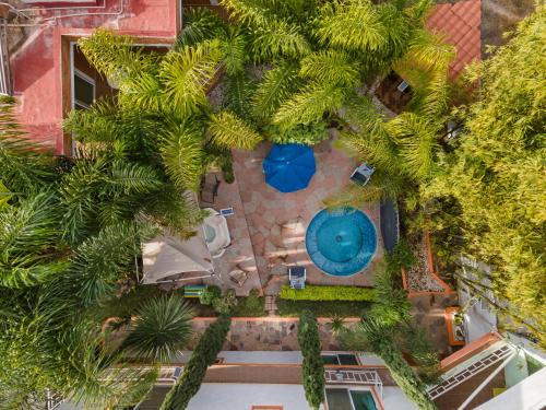 Tequisquiapan Villa | Villa TX Palmeras & Bambúes