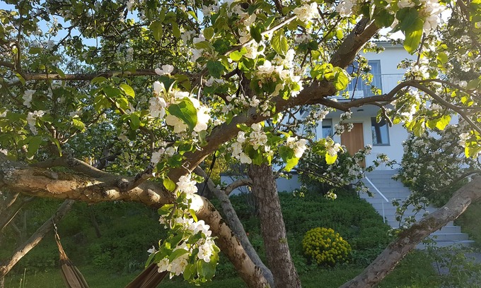 Nacka Municipality House | Villa with private garden 10 min from central Stockholm, 300 m from the sea