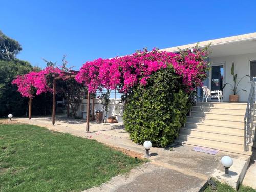 Kato Gouves House | Villino Blu by the sea