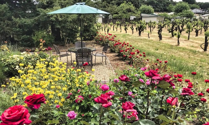 Healdsburg House | Vinehaven - 3BD Healdsburg Retreat with Spa