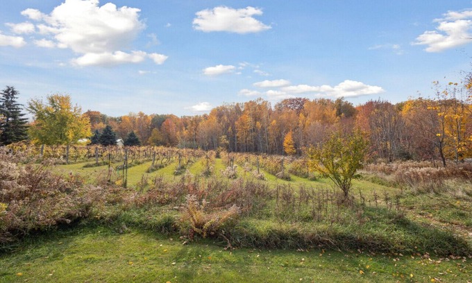 Morrison House | Vineyard View near Winery in Country Side