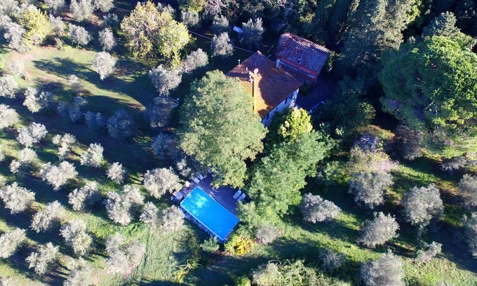 Ghizzano House | Vino, Views and Relaxing Stay