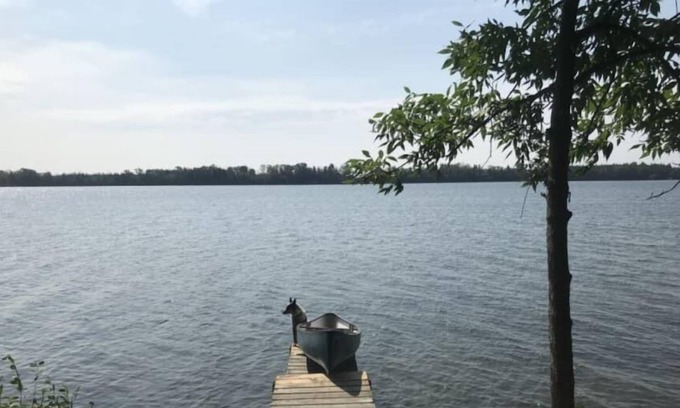 Ameliasburgh House | Vintage 77: Waterfront Family Getaway with Canoe