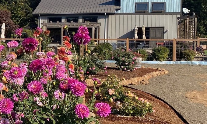 Dundee House | Vintner's Studio at Balanza Vineyard a private, modern vineyard get-away.