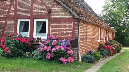 Schneverdingen Apartment | von Wiegen, Ferienwohnungen