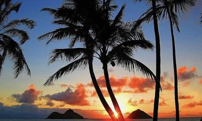 Waikiki Apartment | Waikiki studio USD68.00 per day
