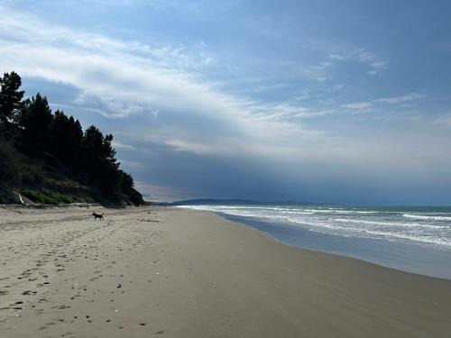 Waikuku Beach Other | Waikuku Beach Holiday Park